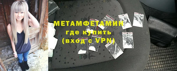 прущие грибы Медногорск